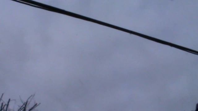 Николаевские голуби г Павлоград 6 04 2023г смотреть онлайн