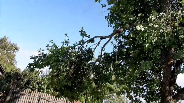 В селе хорёк! Сельская жизнь смотреть онлайн