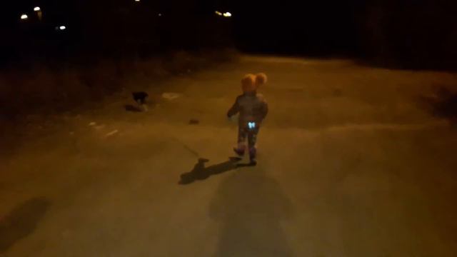 мини прогулка с французским бульдогом