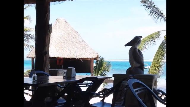 RIVIERA MAYA QUINTANA ROO MEXICO смотреть онлайн