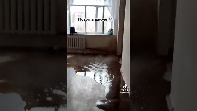 понос в школе #meme