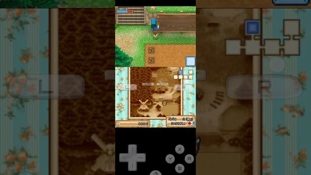 Harvest moon (Grand Bazaar DS) Part-1 смотреть онлайн