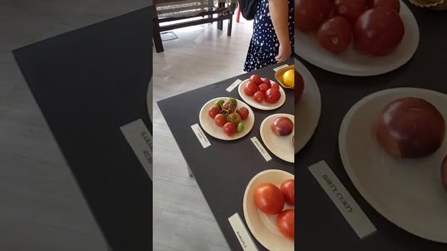 Томатина 2022 года. Таллиннский Ботанический Сад. Открытие. смотреть онлайн