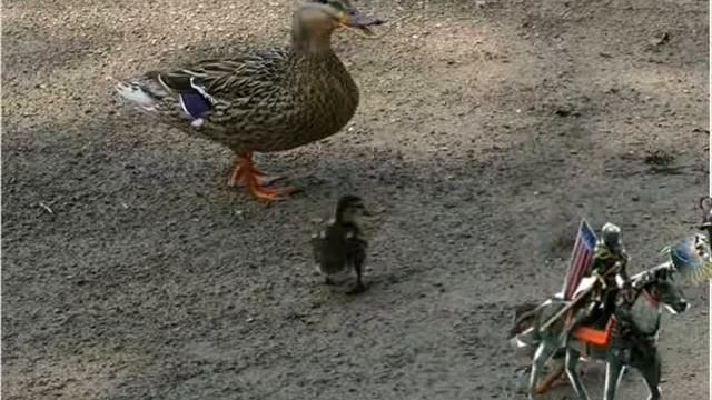 Tales of Dark Knight monty python tribute winning entry NBC смотреть онлайн