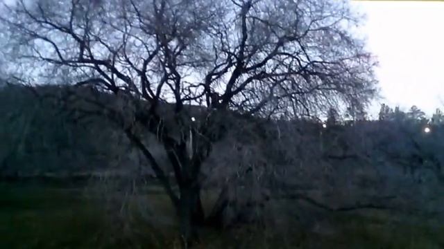 Буктрейлер от 5-х классов, на стихи Пушкина "Осень" смотреть онлайн