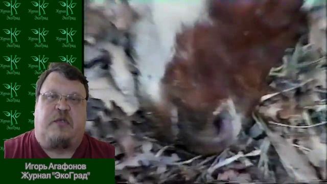 Юрист, ставший кошмаром компании DuPont смотреть онлайн