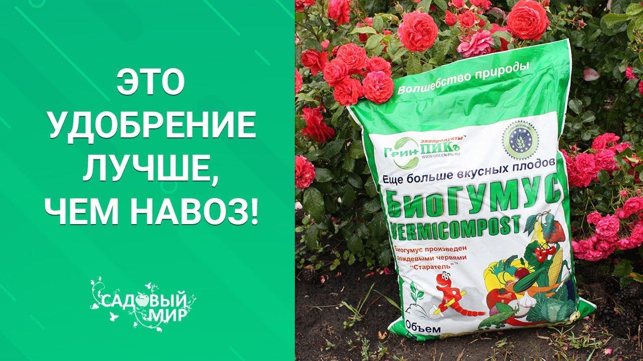 Это удобрение лучше, чем навоз! смотреть онлайн