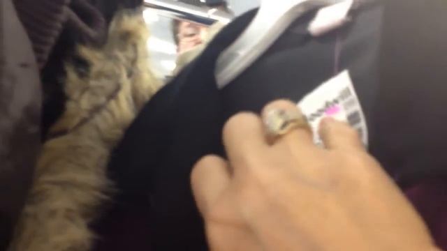 СЕКОНДХЕНД В США МНОГО ПРИЛИЧНОГО И БРЕНДОВЫХ ВЕЩЕЙ смотреть онлайн