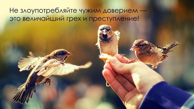 Цитаты и Афоризмы "ДОВЕРИЕ" смотреть онлайн