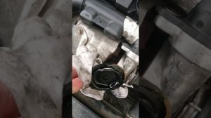 Заміна мембрани КВКГ  та кришки мембрани на peugeot 308 sw 1,6 hdi. Пежо 308 св