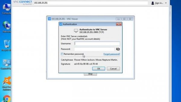 VNC Viewer/VNC Server How to Use Download and complete Installation