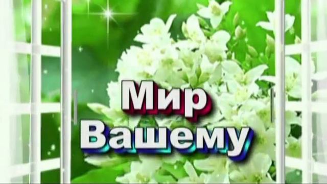 ЕЛЕНА ЕЛЕНА...