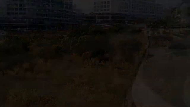 White City Turkey Турция Аланья Тюрклер Анталия Turkler Antalia Средиземное море побережье отель se смотреть онлайн