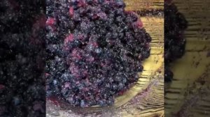 ЧЕРНИЧНОЕ ВАРЕНЬЕ СВЕЖЕЕ / БЕЗ ВАРКИ