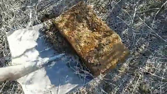 МД 4080 құралымен металл іздеу/ Китайский металлоискатель МД-4080/ весенний коп 2022 смотреть онлайн
