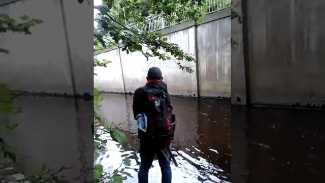 Trout Fishing in Ireland Dublin I Рыбалка на форель в Ирландии в Дублине смотреть онлайн