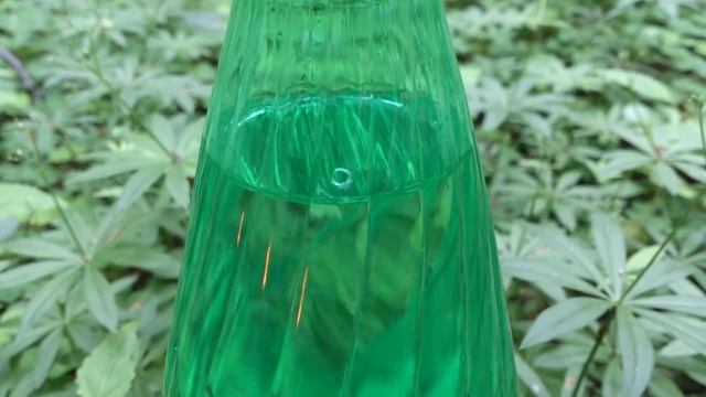 Лейка из пластиковой бутылки для полива комнатных цветов смотреть онлайн