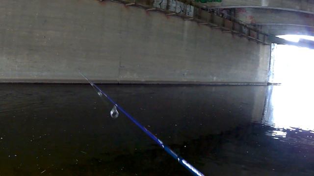 Street Fishing на реке сходня смотреть онлайн