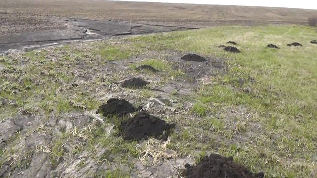 Русские чернозёмы. смотреть онлайн