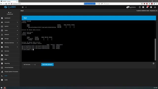 TrueNAS Adding Second Disk To Mirror VDev