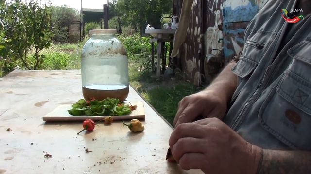 58. Борьба продолжается смотреть онлайн