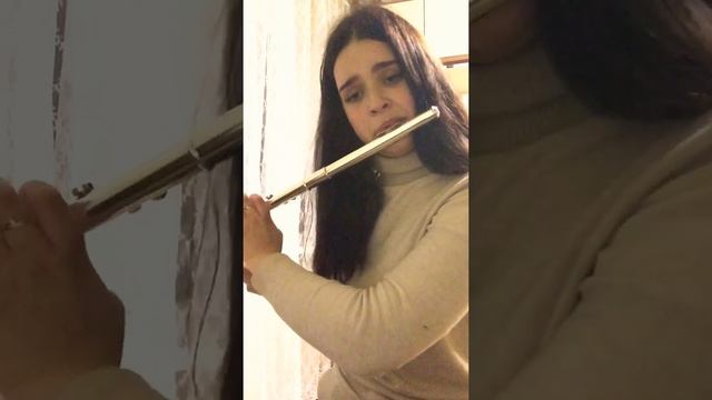 Vilem Blodek концерт для флейты смотреть онлайн