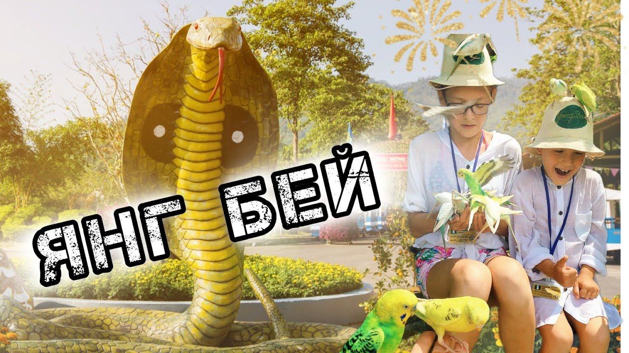 Эко парк Янг Бей  |  Экскурсии в Нячанге  |  Вьетнам 2024
