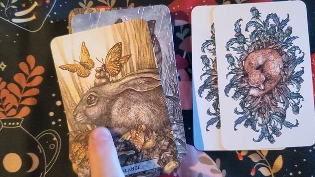 Unboxing & Review of Thistledown Oracle! смотреть онлайн
