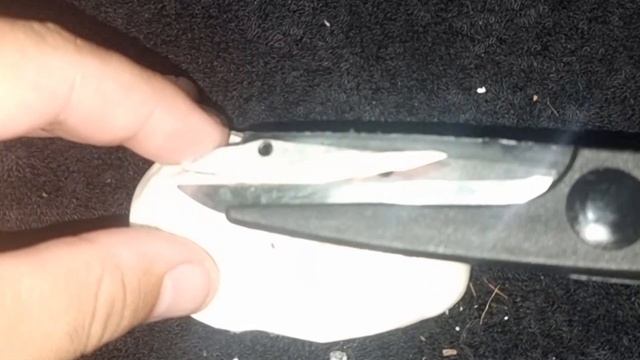 Cutting 7 Spider Ball Python Eggs, my first ever CLUTCH!!!!! смотреть онлайн