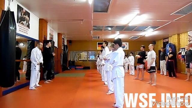 Как накачать широчайшие мышцы спины смотреть онлайн