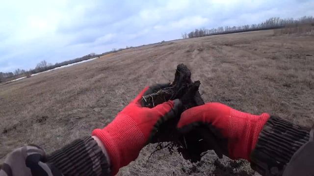 ДАЮ СЛОВО БЕЗ 500 КГ МЕТАЛЛА НАЗАД ПУТИ НЕТ! МЕТАЛО КОП НА ТРАКТОРНОЙ МАСТЕРСКОЙ! смотреть онлайн