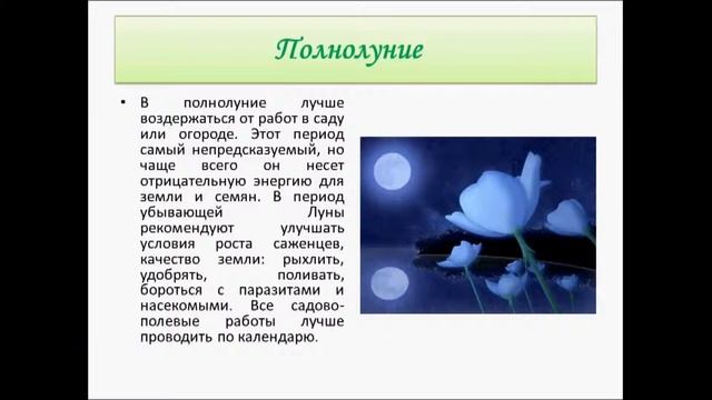 определение удачного для посадки растения дня смотреть онлайн