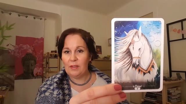 Vlog: Mon Top 20 tarots & oracles en 2018 (1ère partie) смотреть онлайн