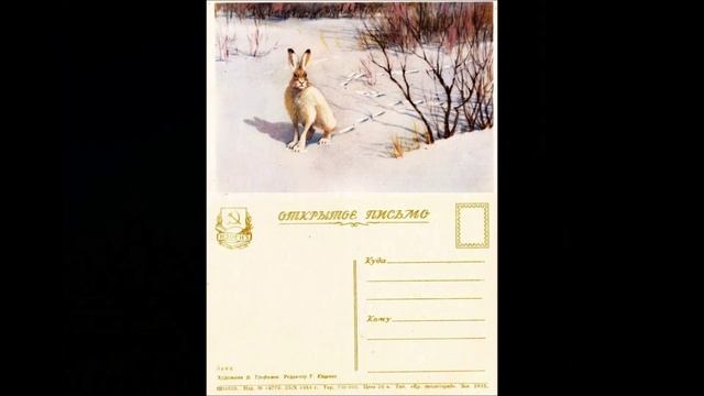 2016.04.05. Открытки бланковые Ч.3 (97 шт.) Л.Мондрус. Ты за мной ходи не ходи. Запрет на ЮТубе смотреть онлайн