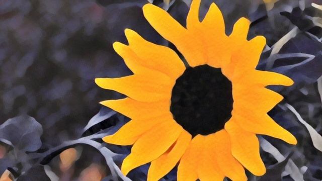 Mazurka en Sol - Francisco Tárrega смотреть онлайн