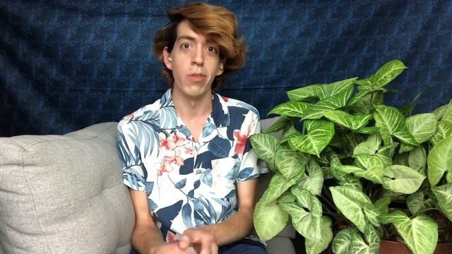 Syngonium podophyllum (Arrowhead plant) and Caladiums as porch plants here in Texas! смотреть онлайн