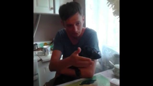 Влог: последние дни лета/муж поздравляет с 4годовщиной свадьбы/кадры летняя Одесса смотреть онлайн