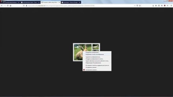 Как сохранить картинку с fandom Wiki(по любой теме)