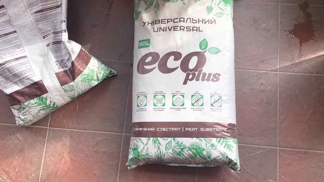 Пикировку рассады делаю только так. смотреть онлайн