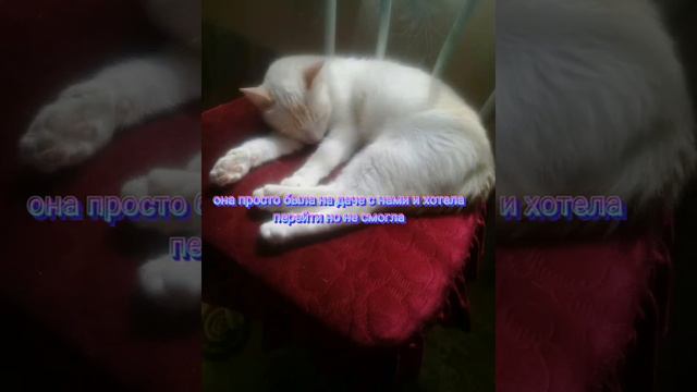 почему не выходят видео смотреть онлайн