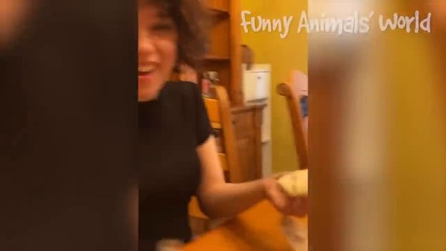 Самые смешные видео с кошками и собаками ? - Лучшие смешные видео с животными 2022 ? #2 смотреть онлайн