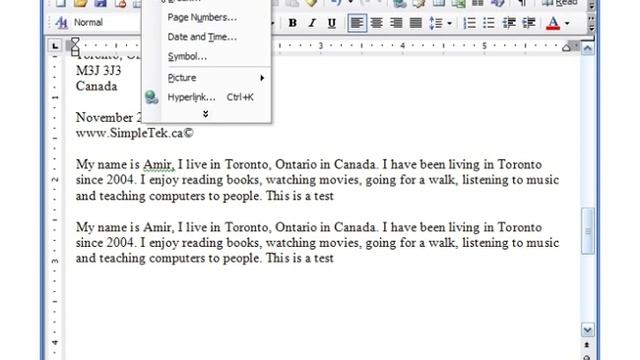 MS Word 2003 Basic 4 (Page number, Symbol, Header/Footer, spell check) смотреть онлайн