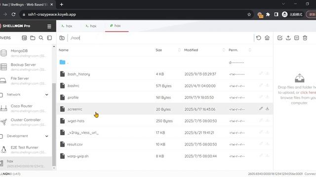 koyeb搭建Shellngn项目 SSH登录纯IPv6的VPS 支持SFTP直接操作修改文件 смотреть онлайн