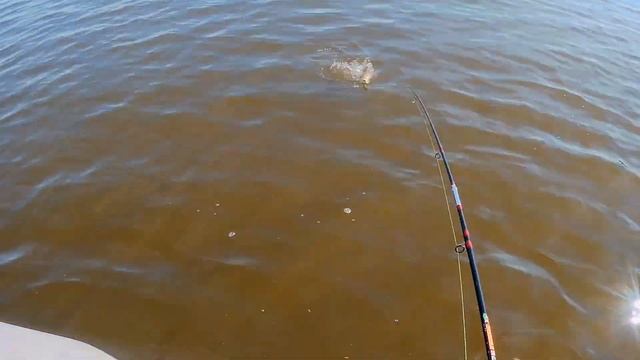 Рыбалка троллингом на реке 2020 | ловля троллингом щуки и судака