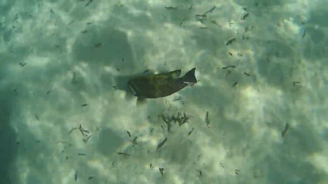 Sharm El Sheikh, Barcelo Tiran Sharm 5*, март 2018 г.