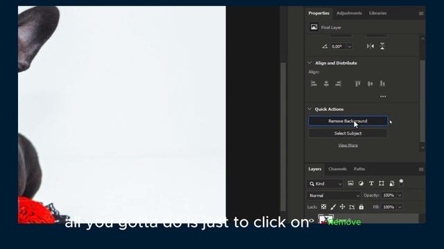 Photoshop 2024 : How To Remove Background (Short Tutorial)