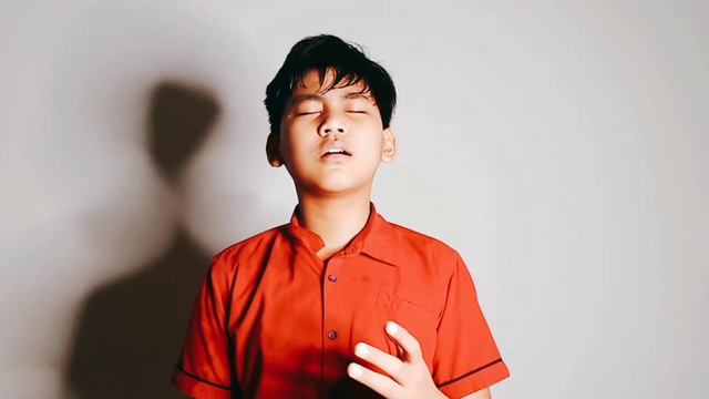 Tanah airku Cipt Ibu Sud - (cover By Raditya) смотреть онлайн