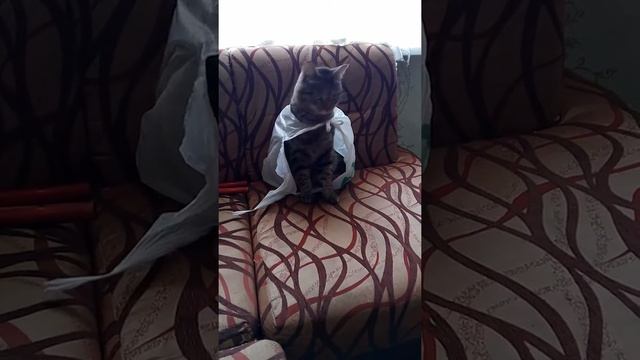 Белый плащ спешит на помощь смотреть онлайн