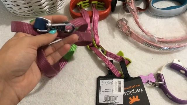 Вся амуниция моих собак. Йоркширские терьеры смотреть онлайн