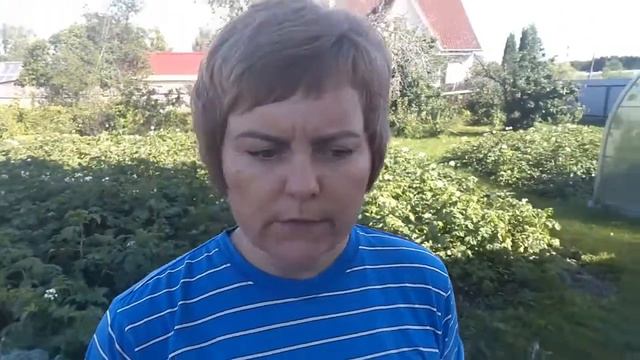 VLOG 7-9 июля РАБОТАЮ ДАЖЕ В ОТПУСКЕ ,ЧТОБЫ БЫЛО МНОГО КАПУСТЫ смотреть онлайн